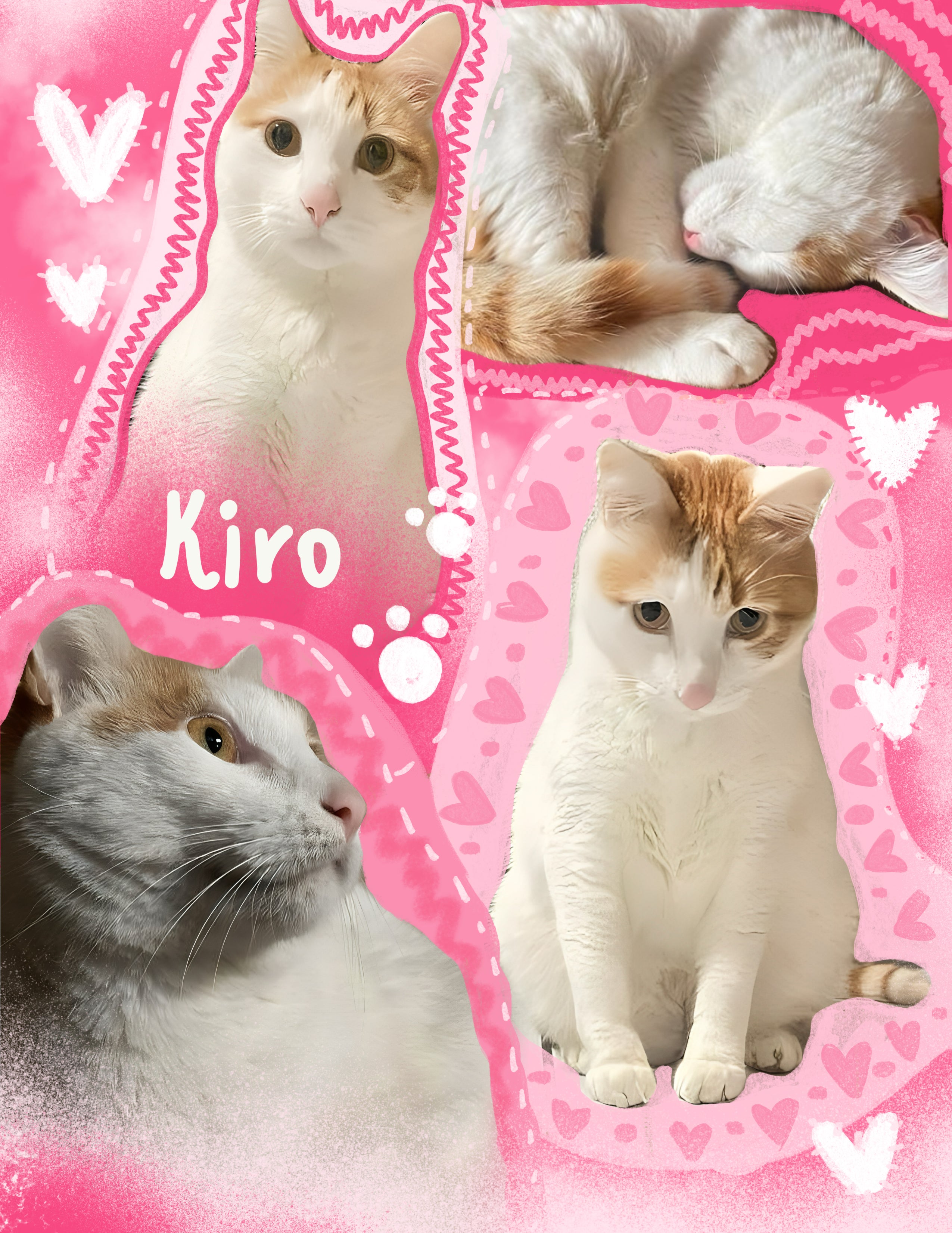 Personalized pet blannket - Photo Collage