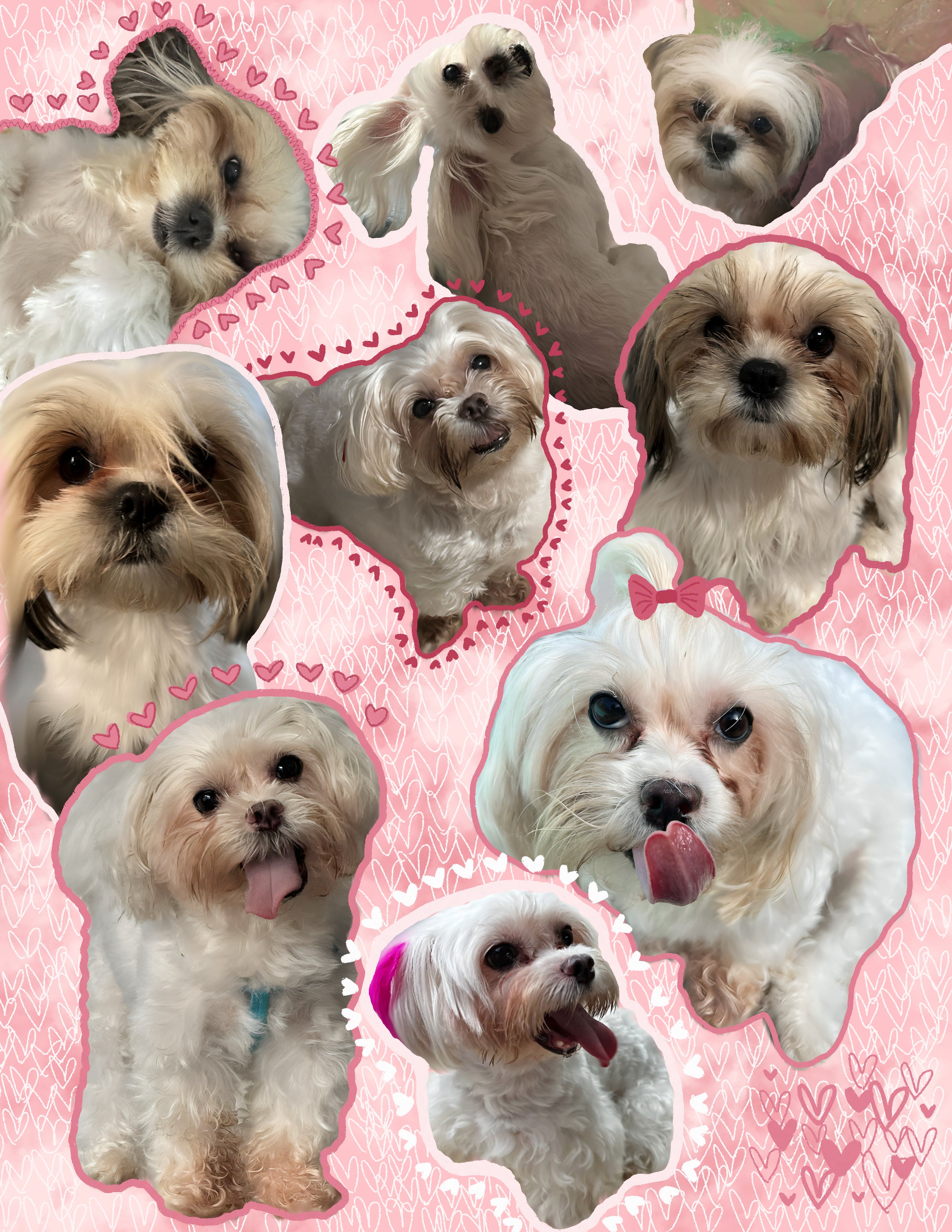 Personalized pet blannket - Photo Collage