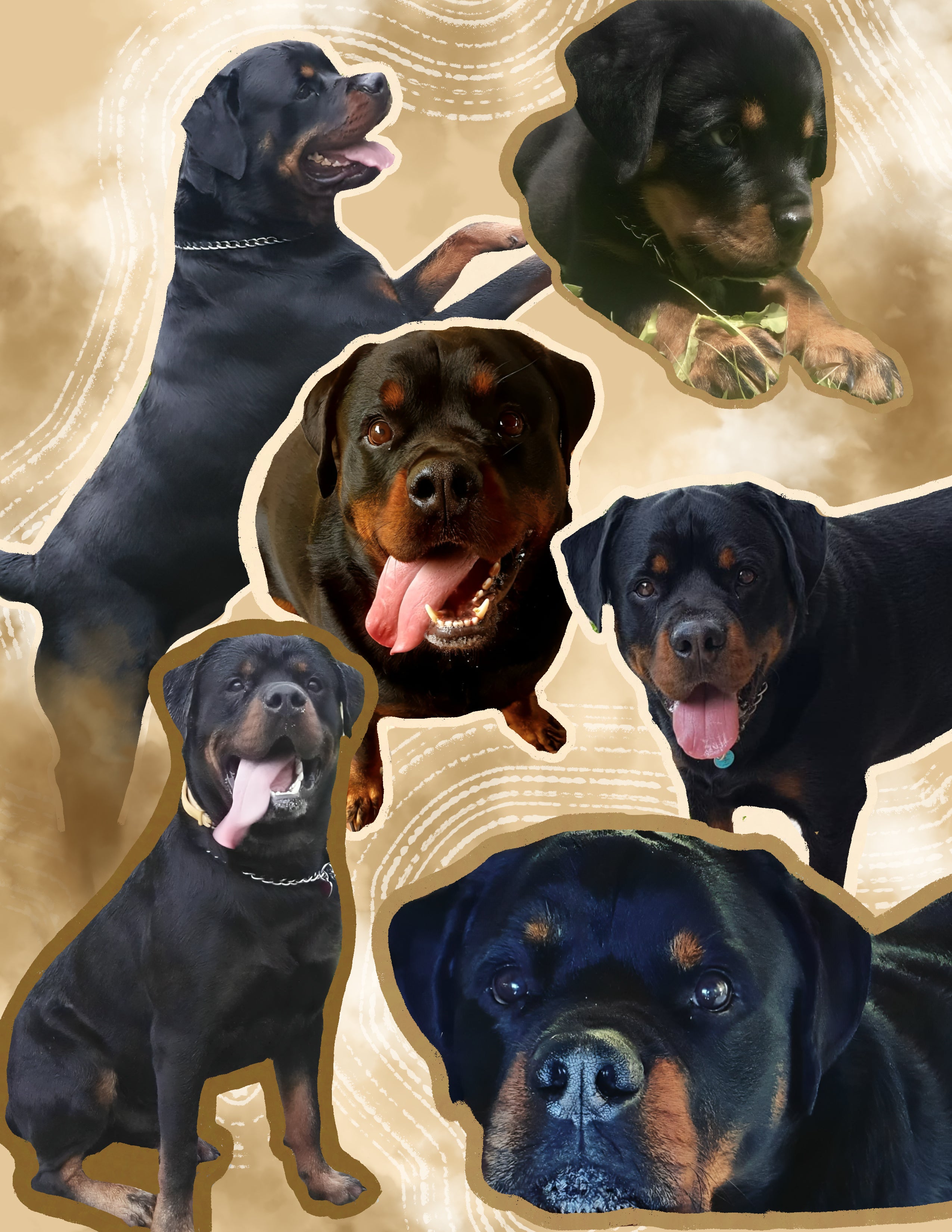 Personalized pet blannket - Photo Collage