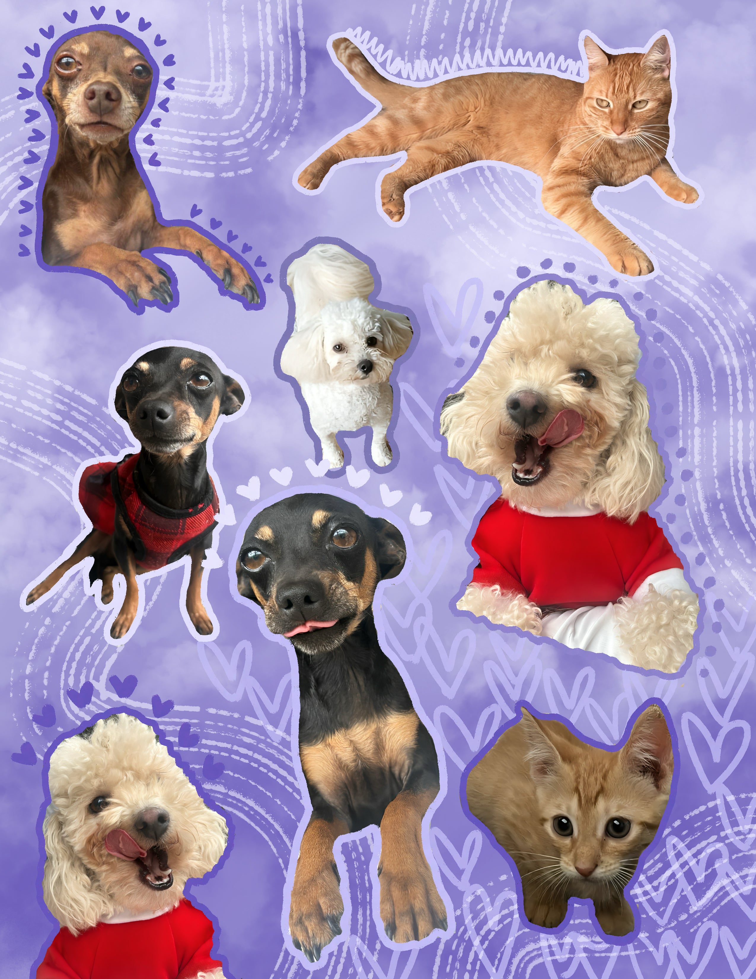 Personalized pet blannket - Photo Collage