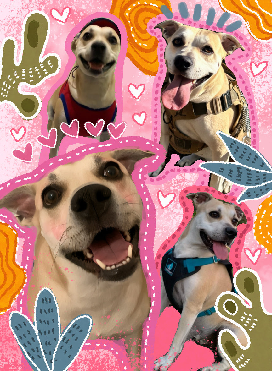 Personalized pet blannket - Photo Collage