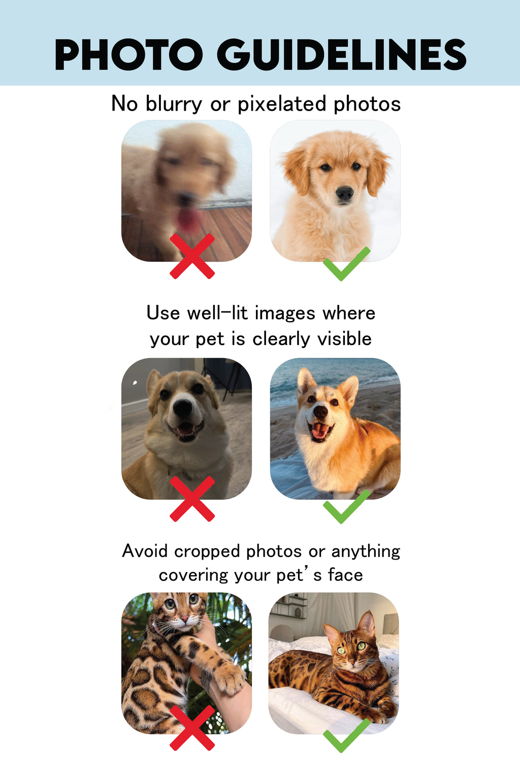 Personalized pet blannket - Photo Collage