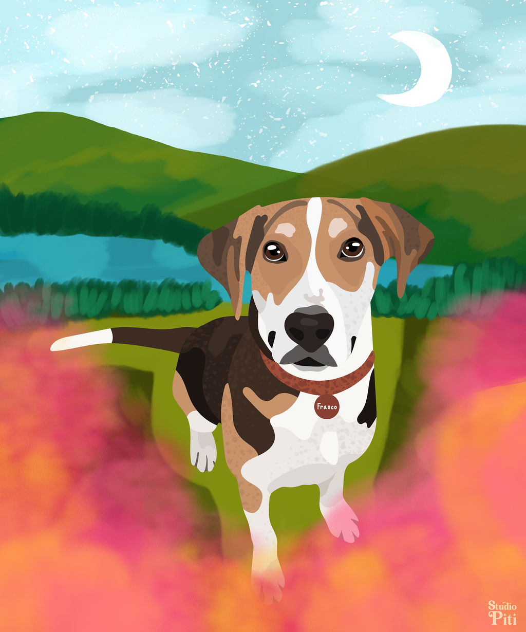 Personalized pet blanket - Ilustration