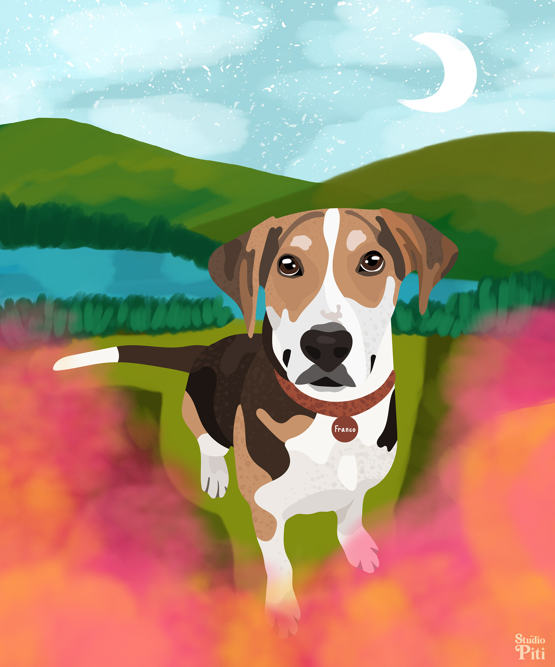 Personalized pet blanket - Ilustration